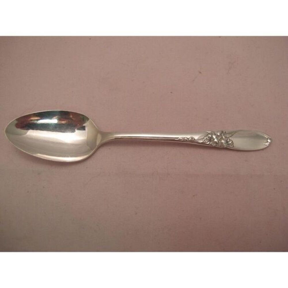 Oneida White Orchid Dinner‎ Teaspoon Spoon (s)